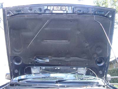 VW St2 Ԃ̋z/U/fbhjO,{lbgCV[^[